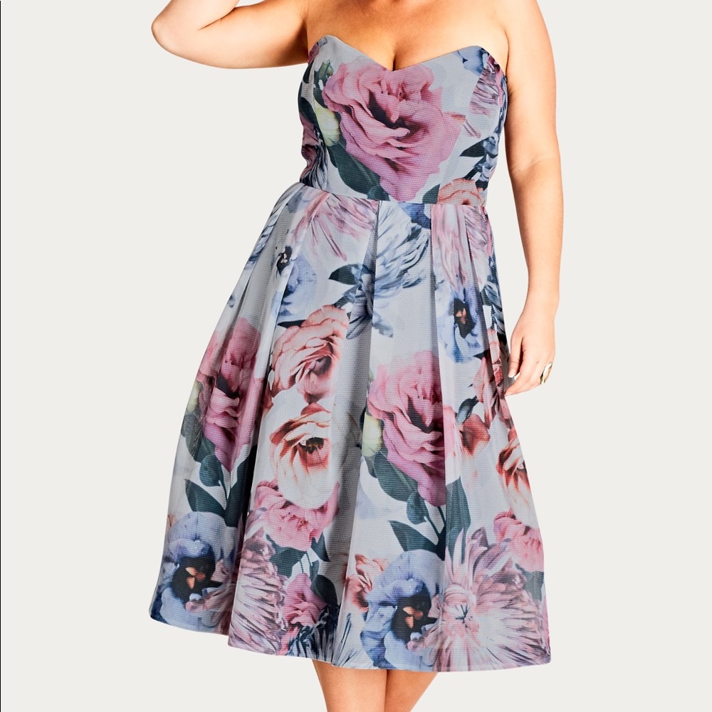 Beautiful Rose Mesh Dress